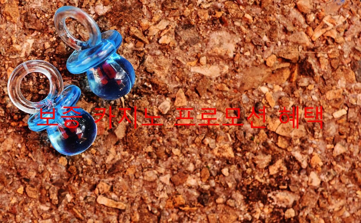 보증 카지노 프로모션 혜택