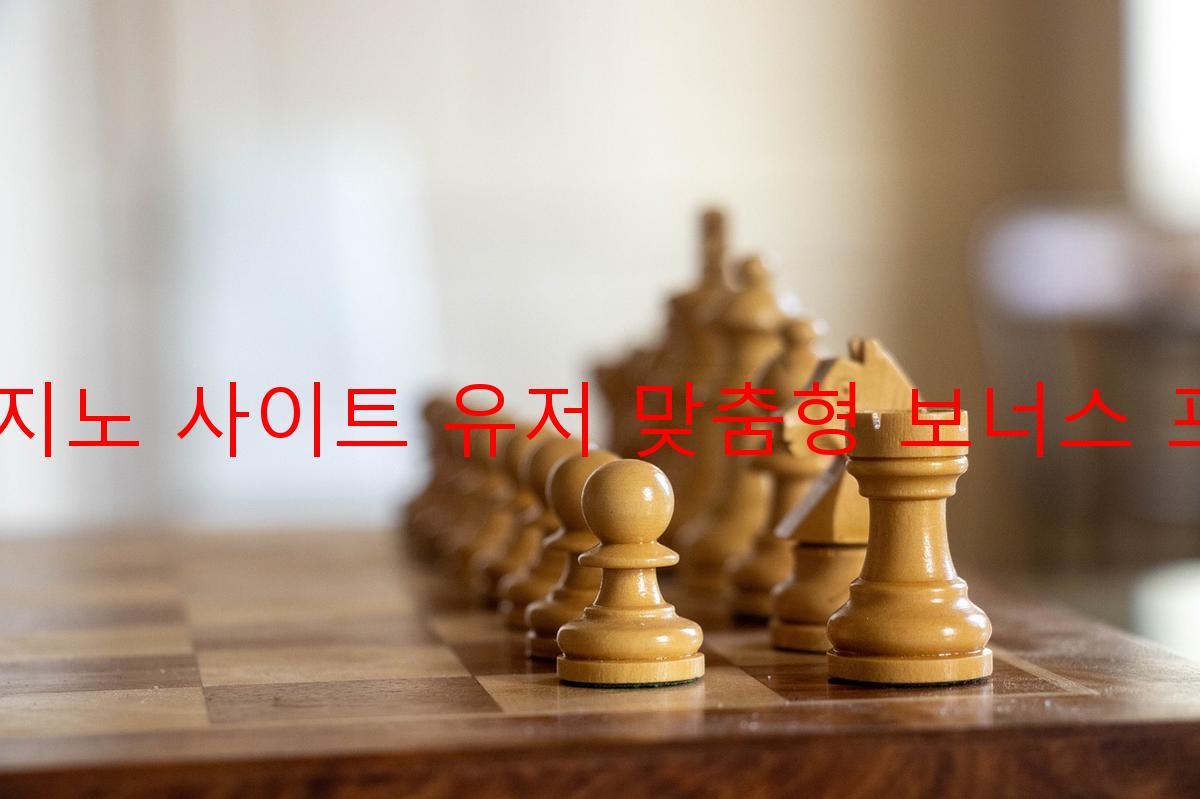 보증 카지노 사이트 유저 맞춤형 보너스 프로그램