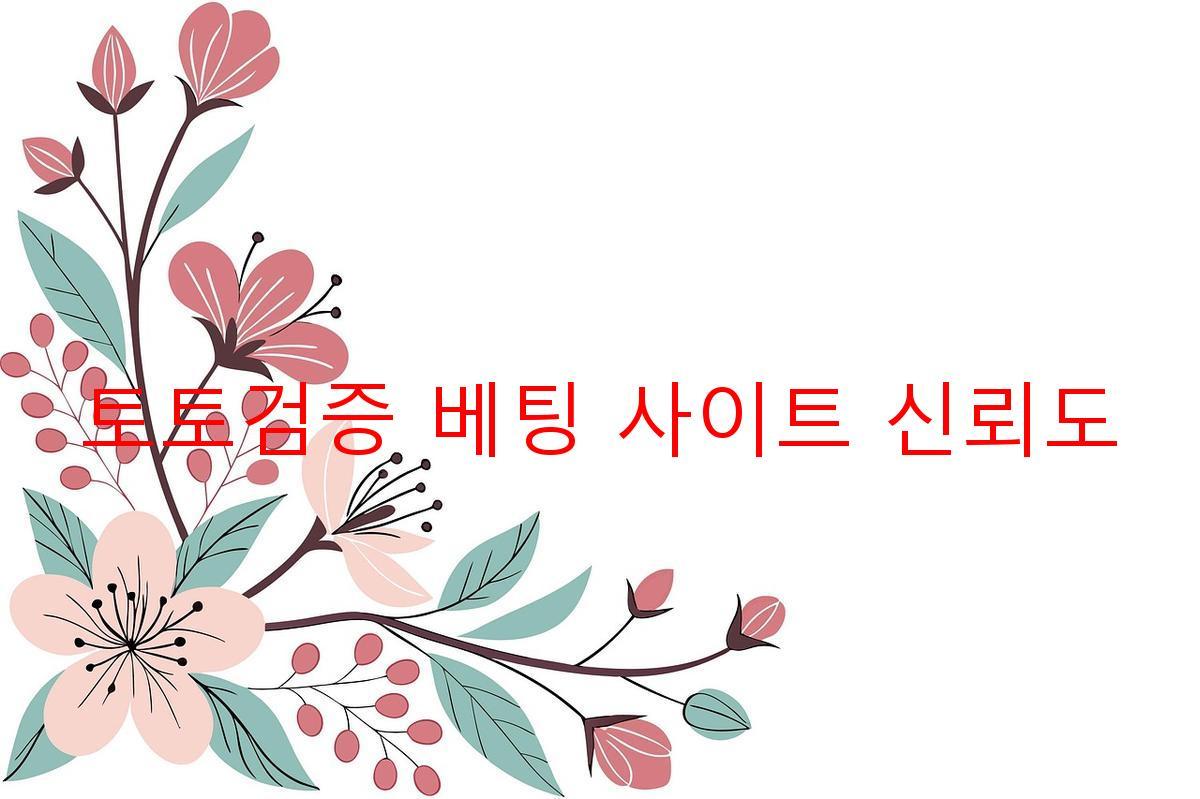 토토검증 베팅 사이트 신뢰도