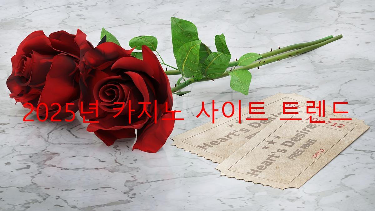 2025년 카지노 사이트 트렌드