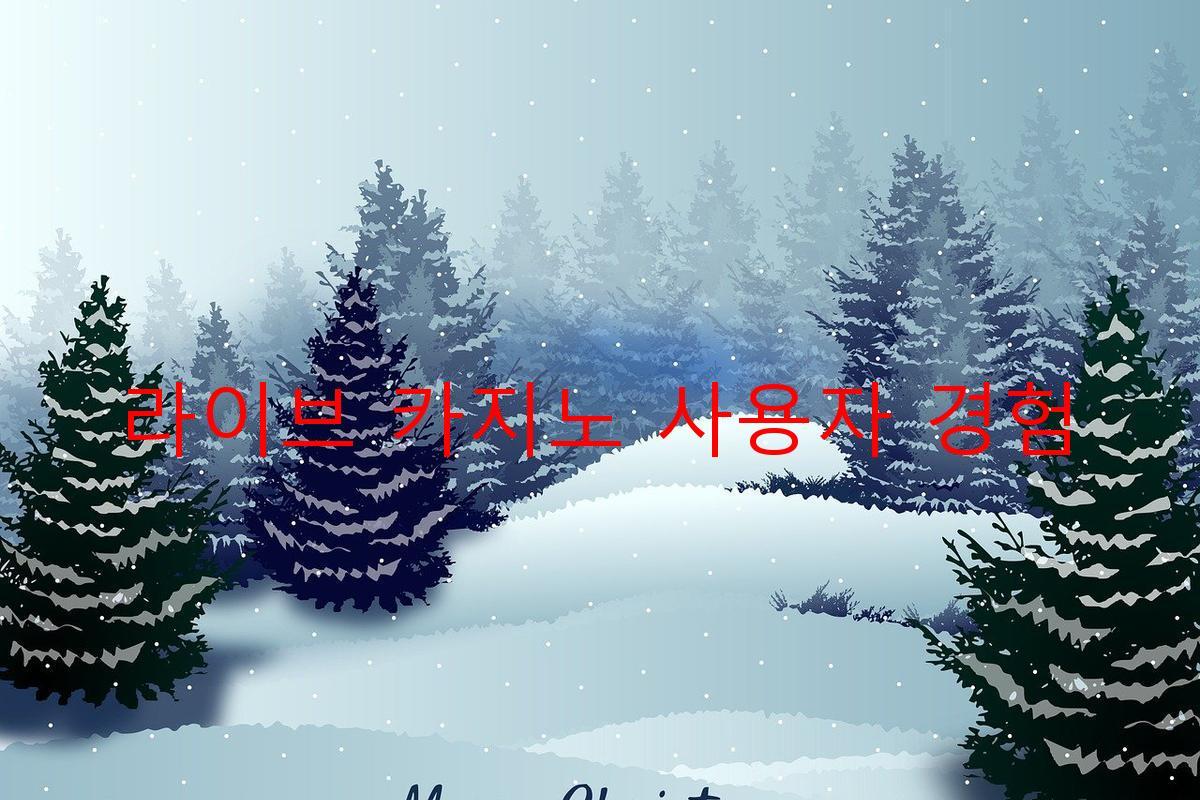 라이브 카지노 사용자 경험