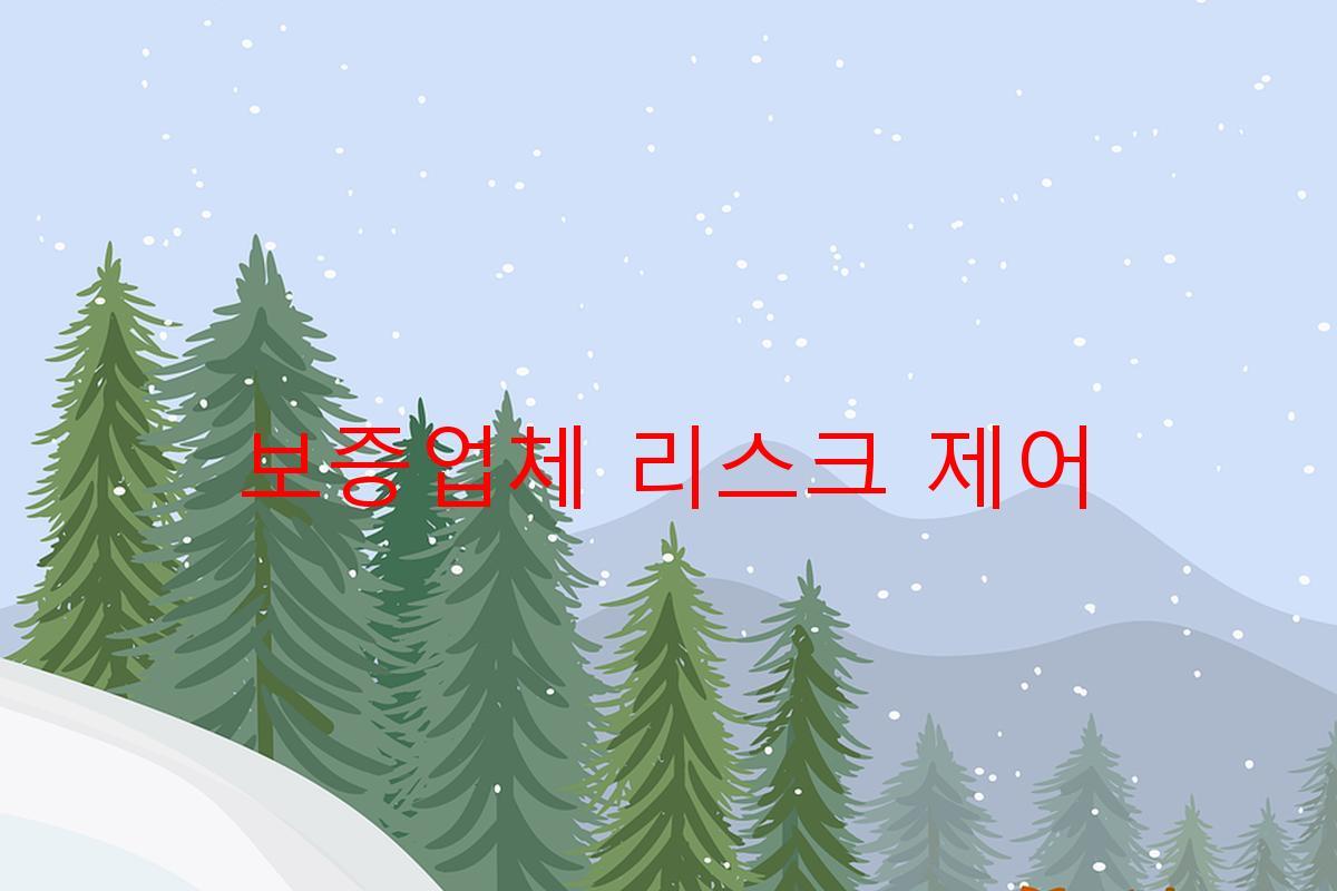 보증업체 리스크 제어