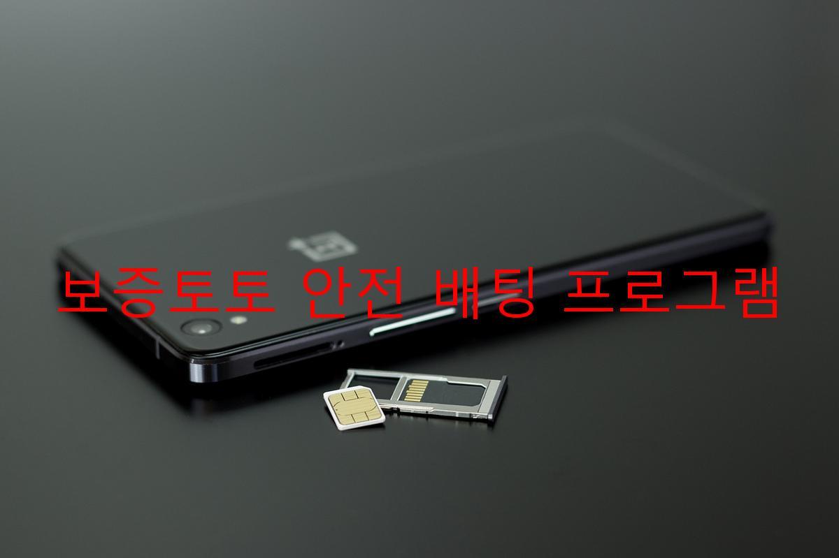 보증토토 안전 배팅 프로그램