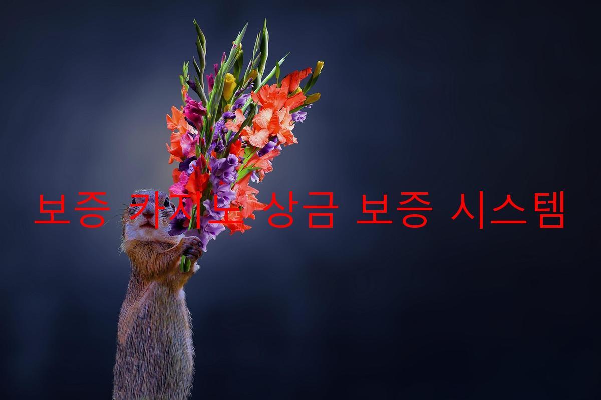 보증 카지노 상금 보증 시스템