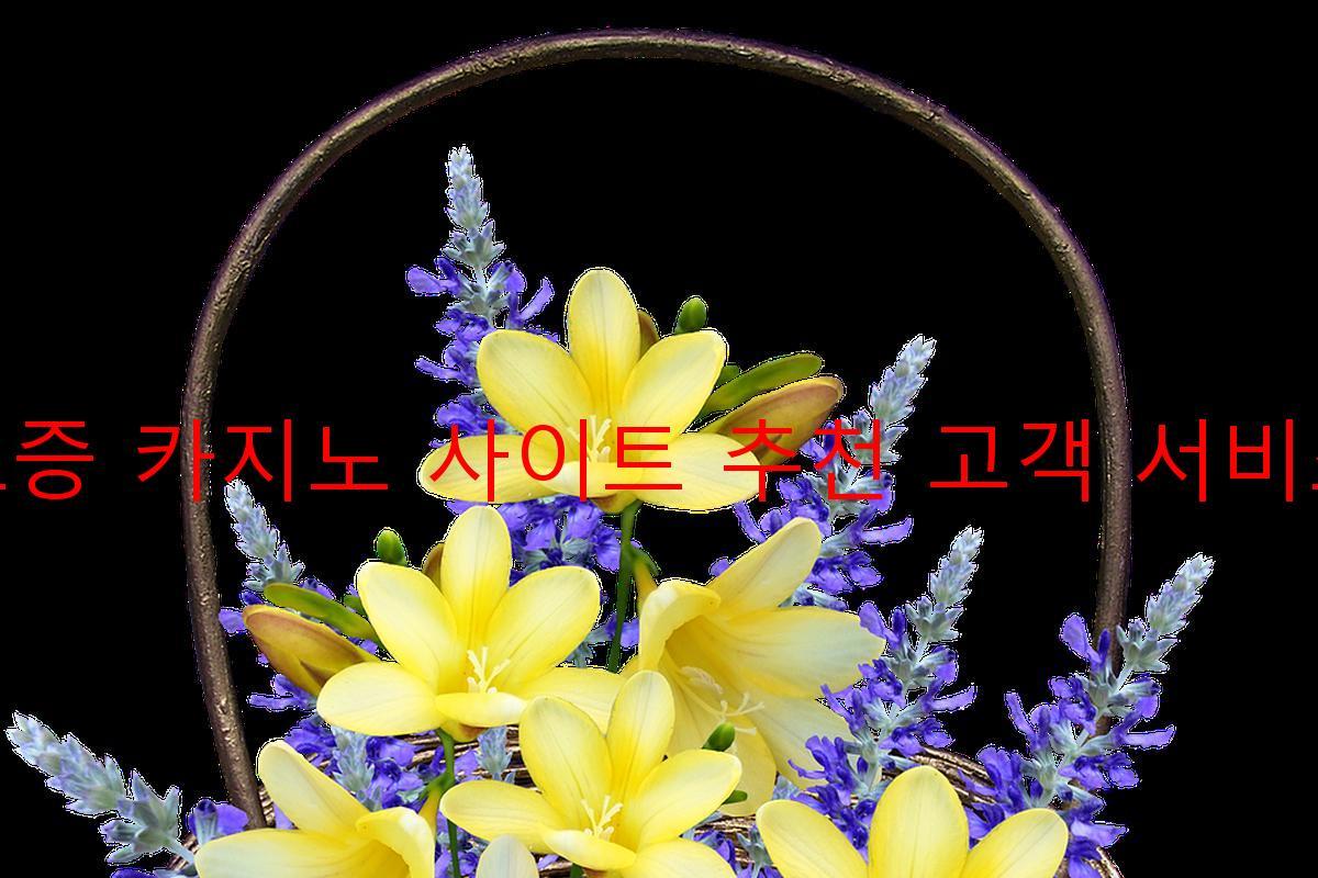 보증 카지노 사이트 추천 고객 서비스