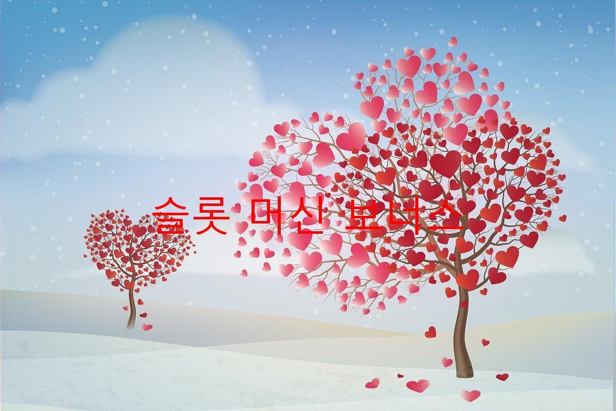 슬롯 머신 보너스