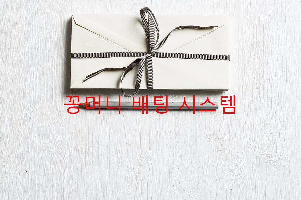 꽁머니 배팅 시스템