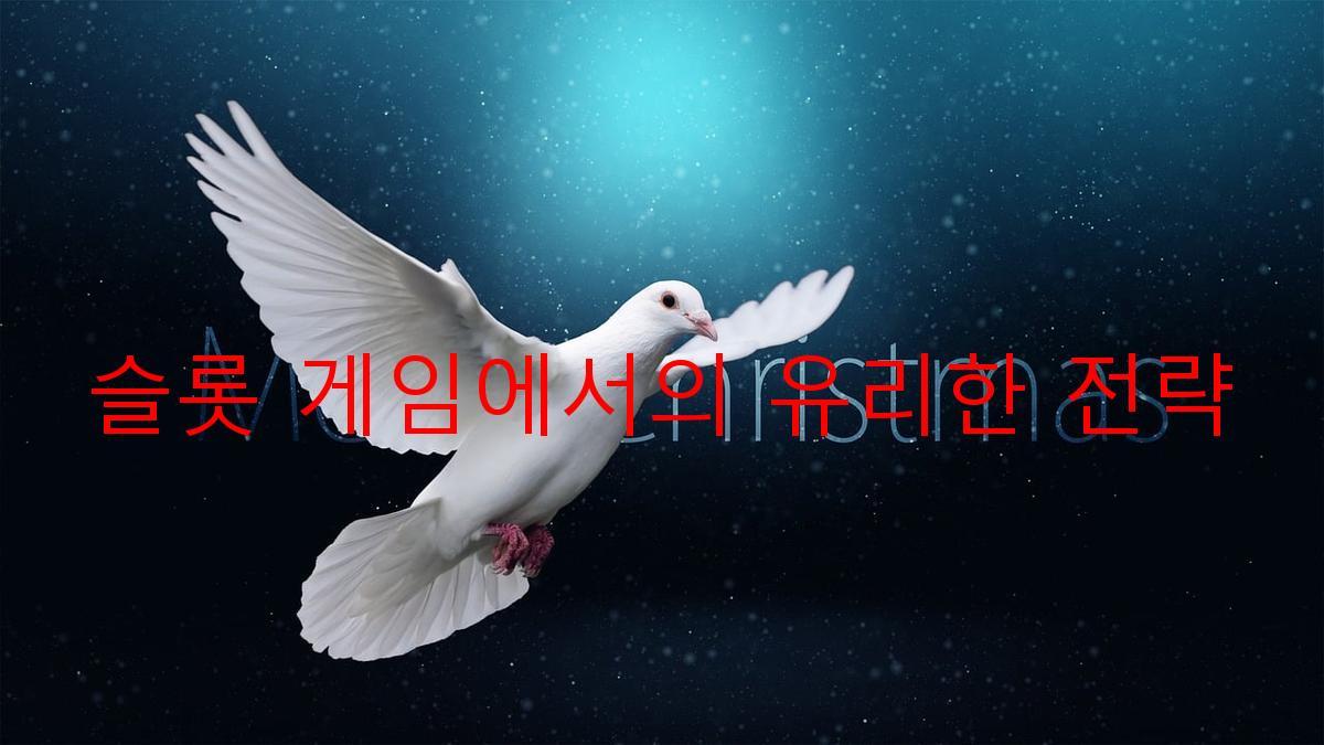 슬롯 게임에서의 유리한 전략