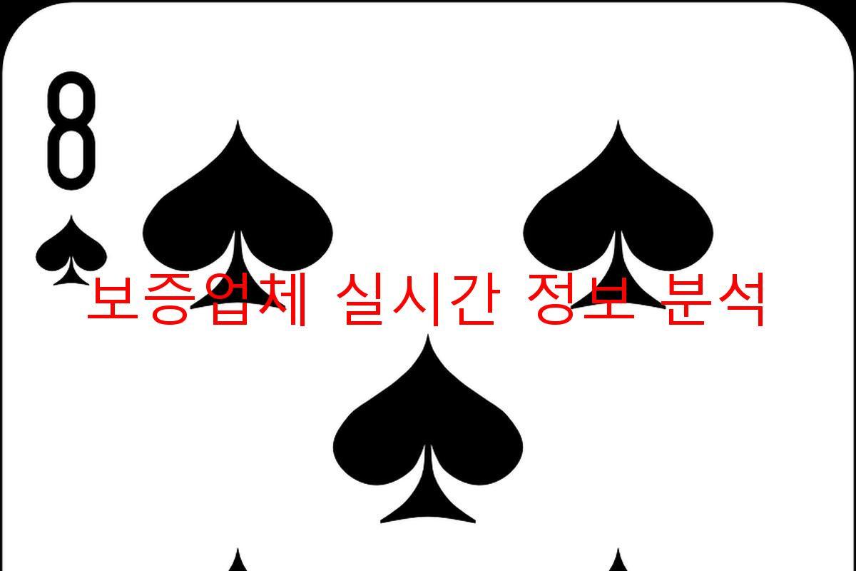 보증업체 실시간 정보 분석