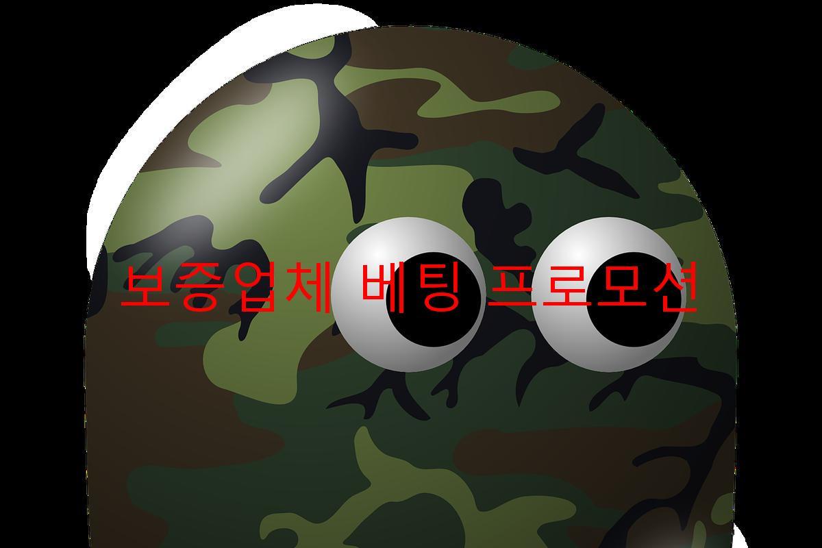 보증업체 베팅 프로모션