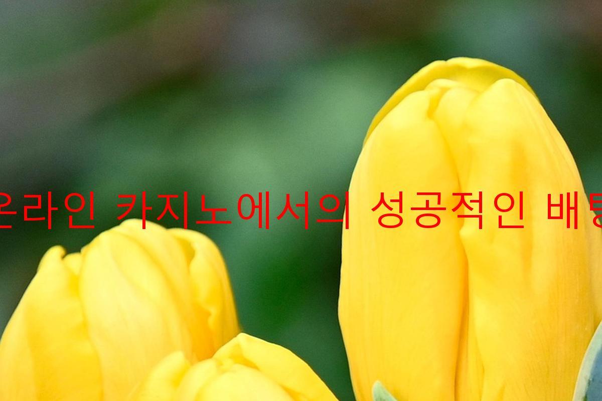 온라인 카지노에서의 성공적인 배팅