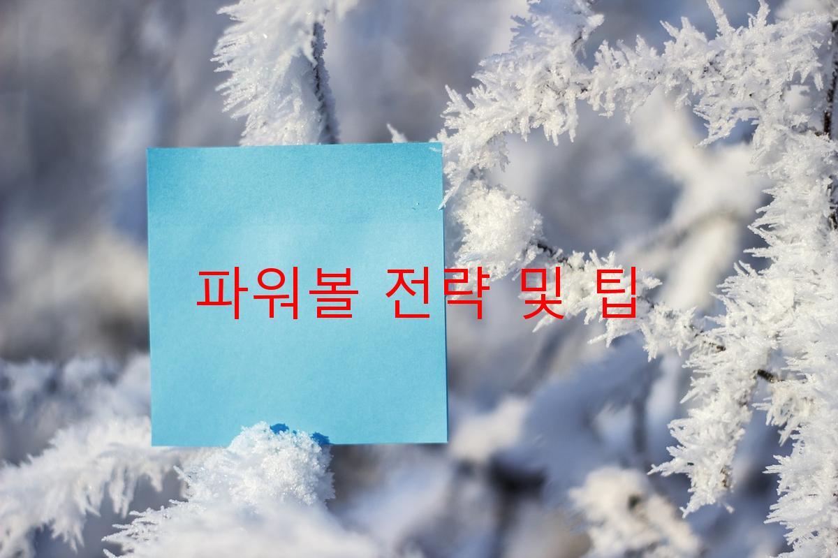 파워볼 전략 및 팁