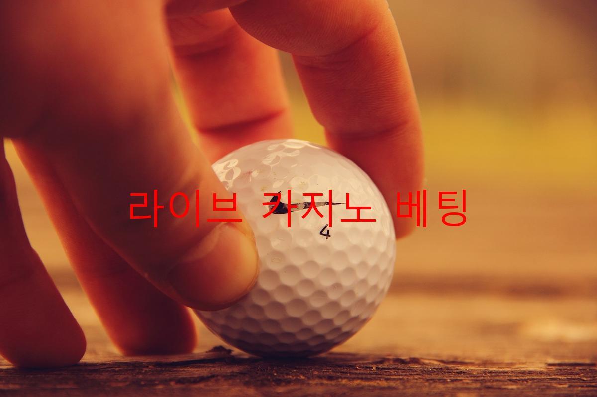 라이브 카지노 베팅