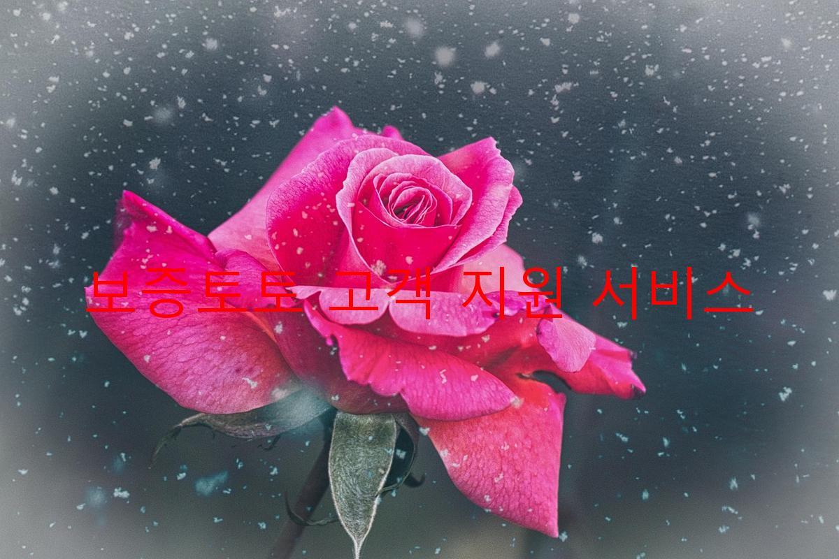 보증토토 고객 지원 서비스