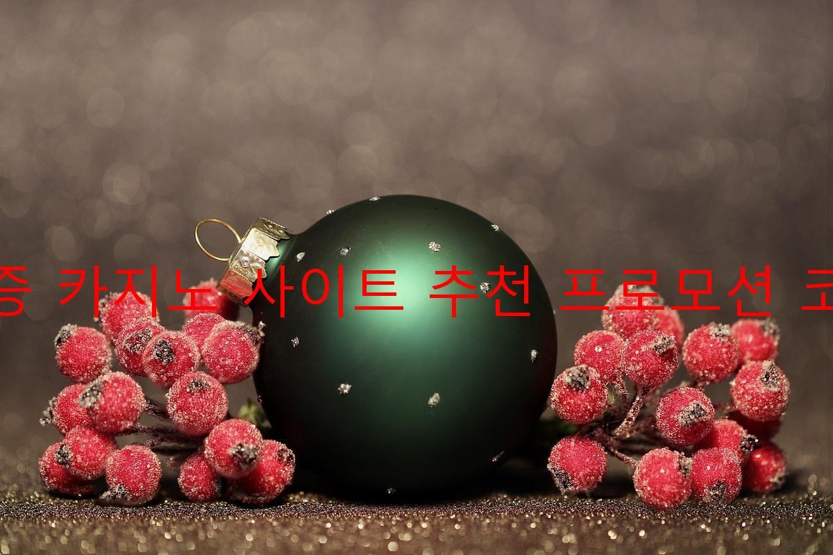 보증 카지노 사이트 추천 프로모션 코드