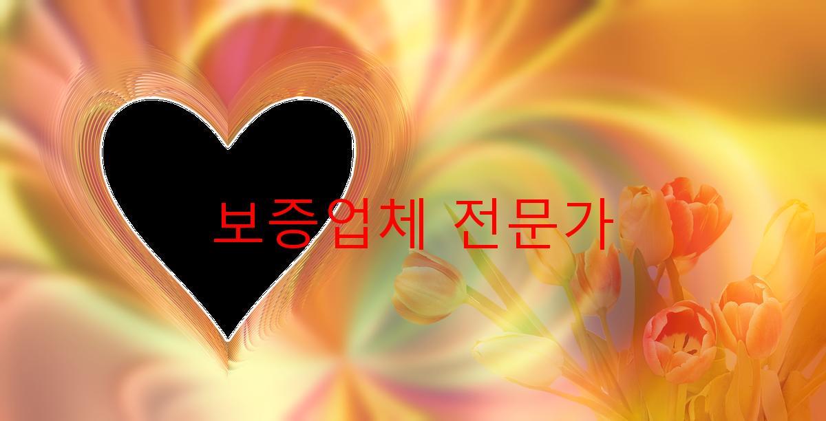 보증업체 전문가