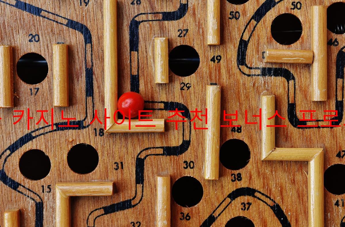 보증 카지노 사이트 추천 보너스 프로그램