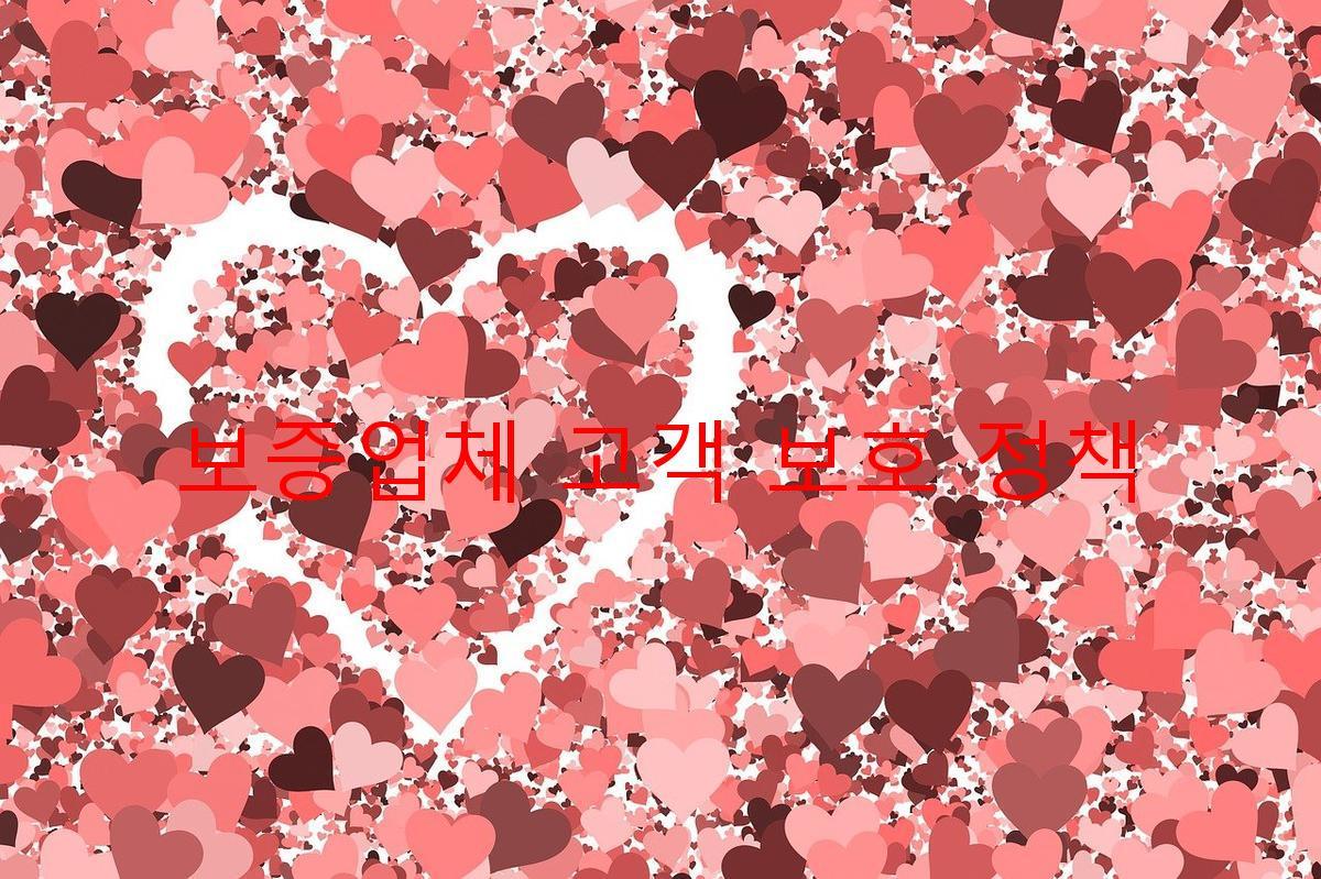 보증업체 고객 보호 정책