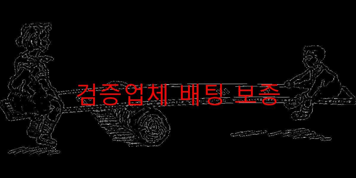 검증업체 배팅 보증