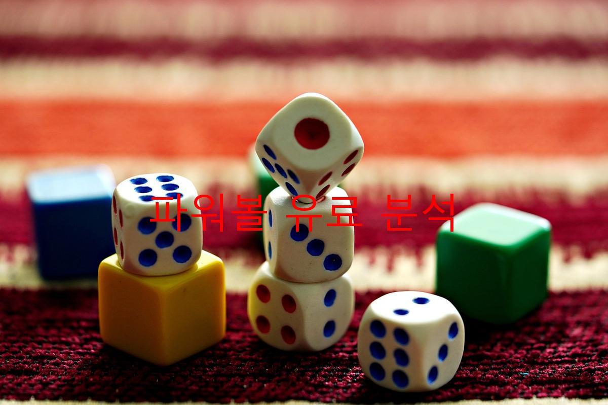 파워볼 유료 분석