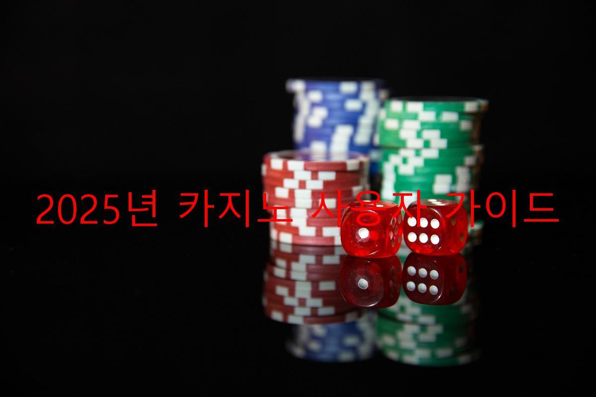 2025년 카지노 사용자 가이드