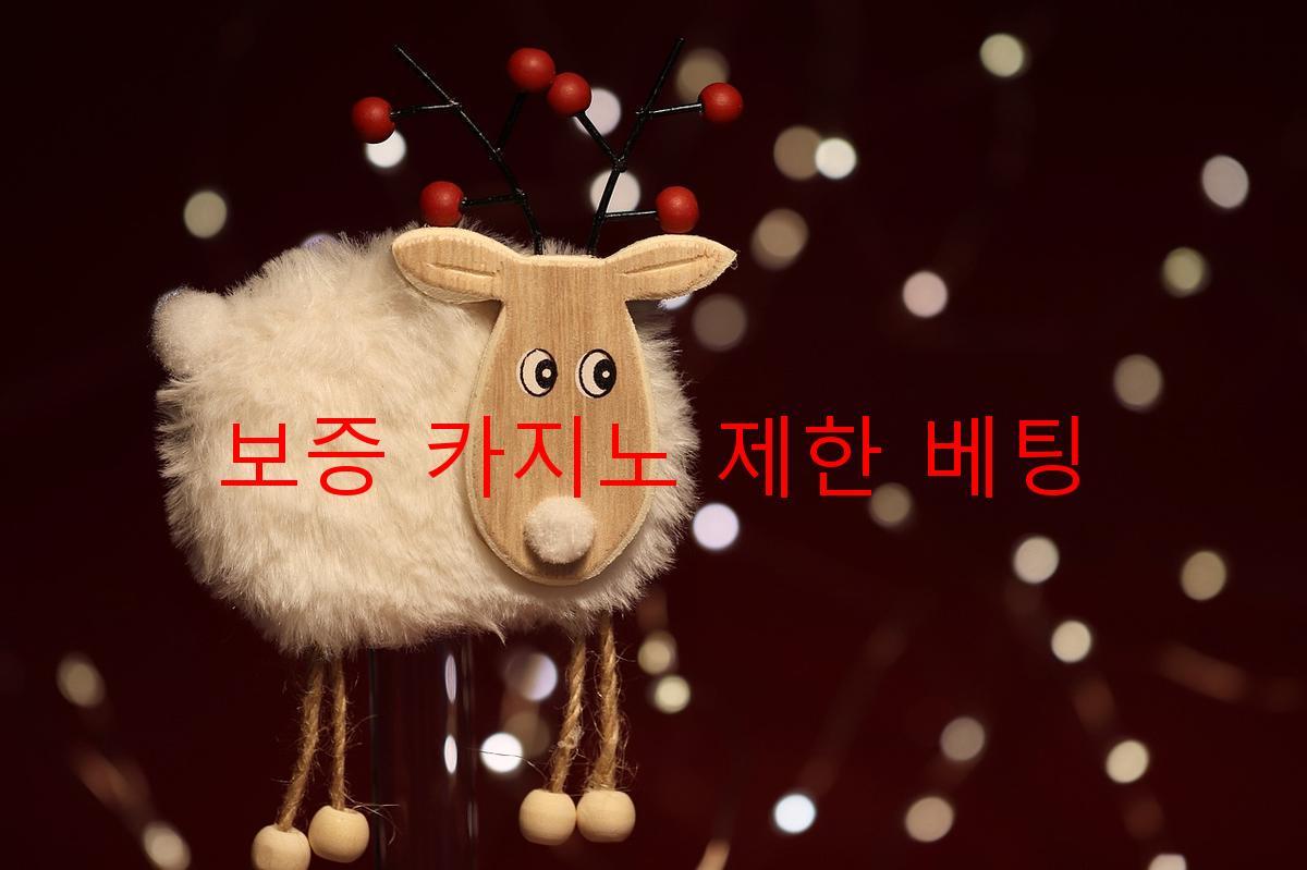 보증 카지노 제한 베팅