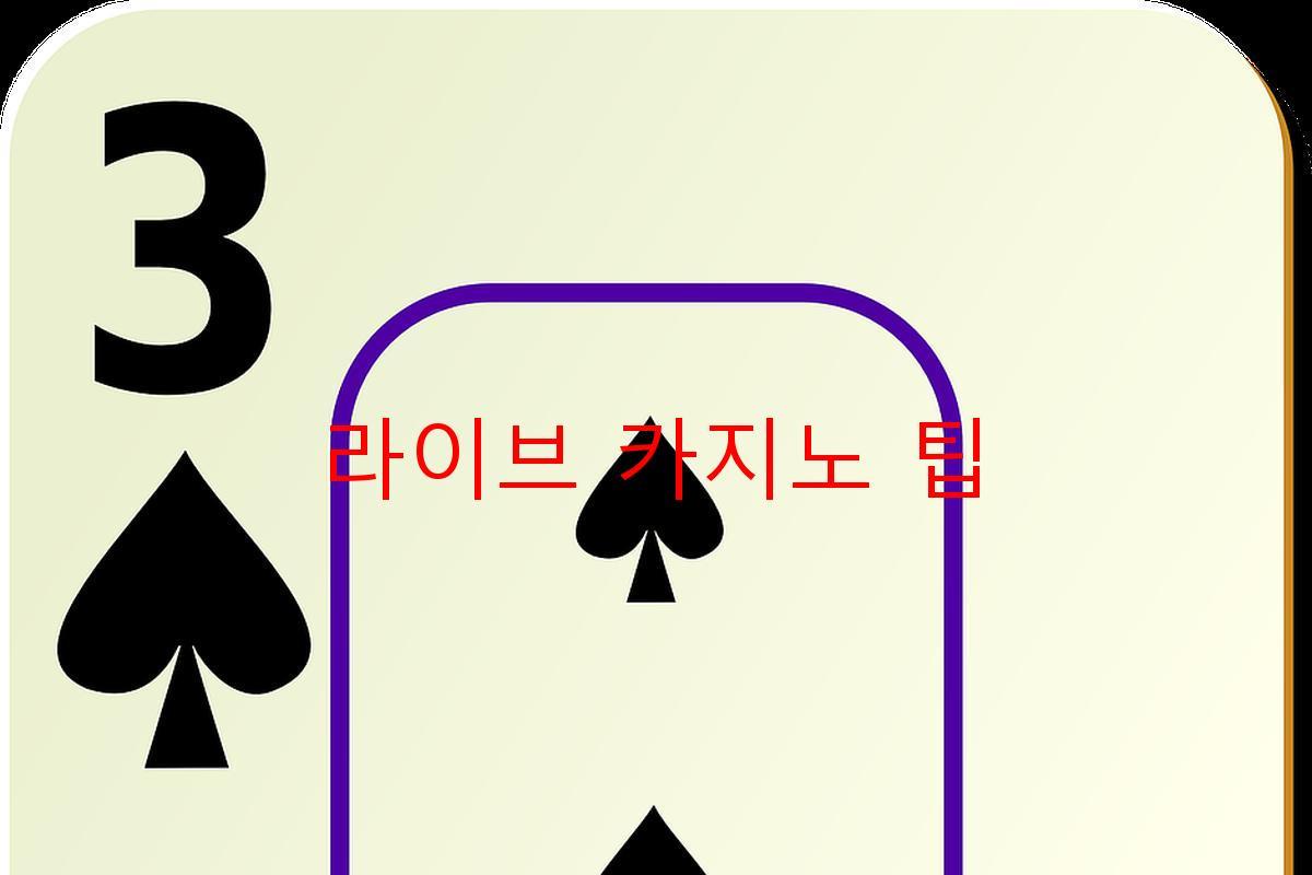 라이브 카지노 팁