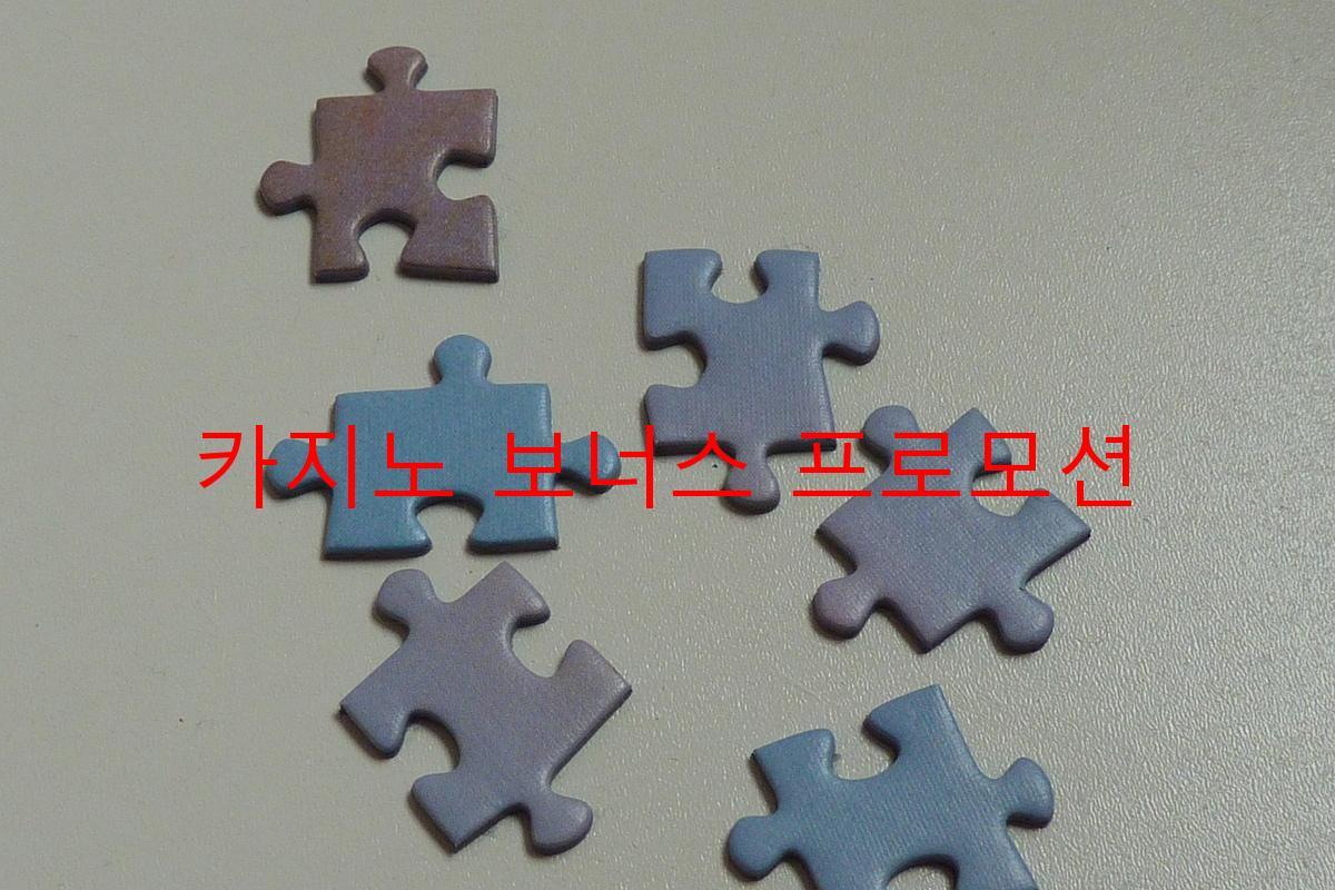 카지노 보너스 프로모션