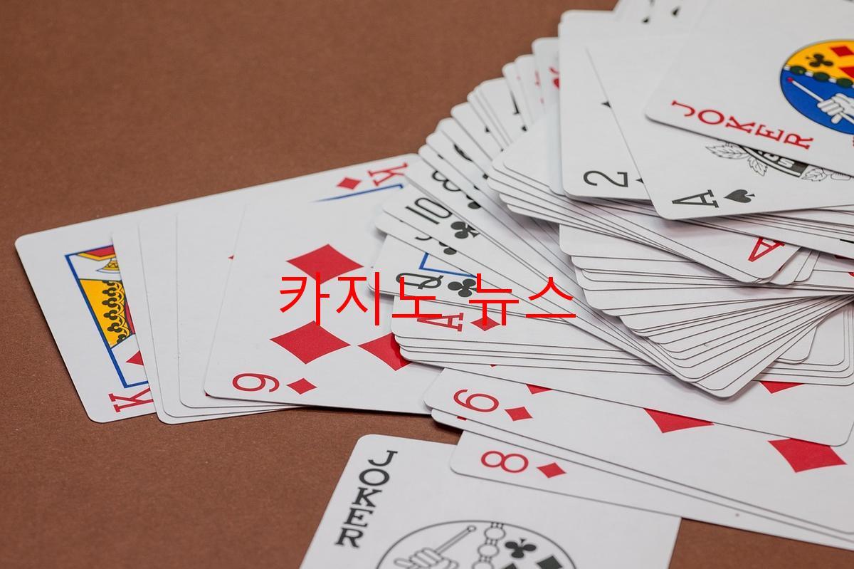 카지노 뉴스