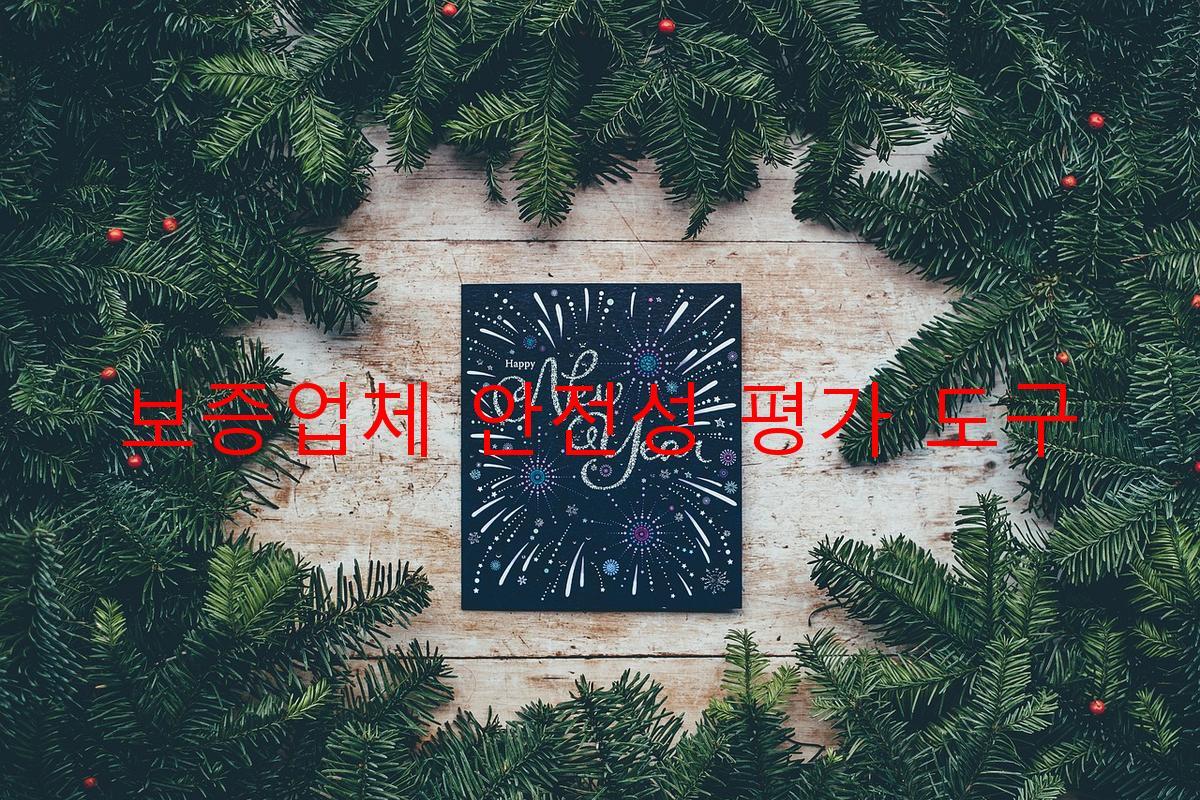 보증업체 안전성 평가 도구