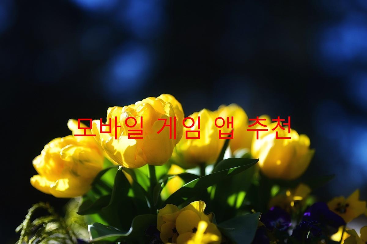 모바일 게임 앱 추천