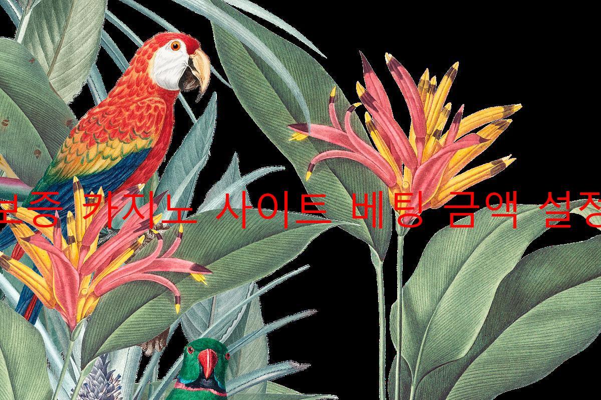 보증 카지노 사이트 베팅 금액 설정