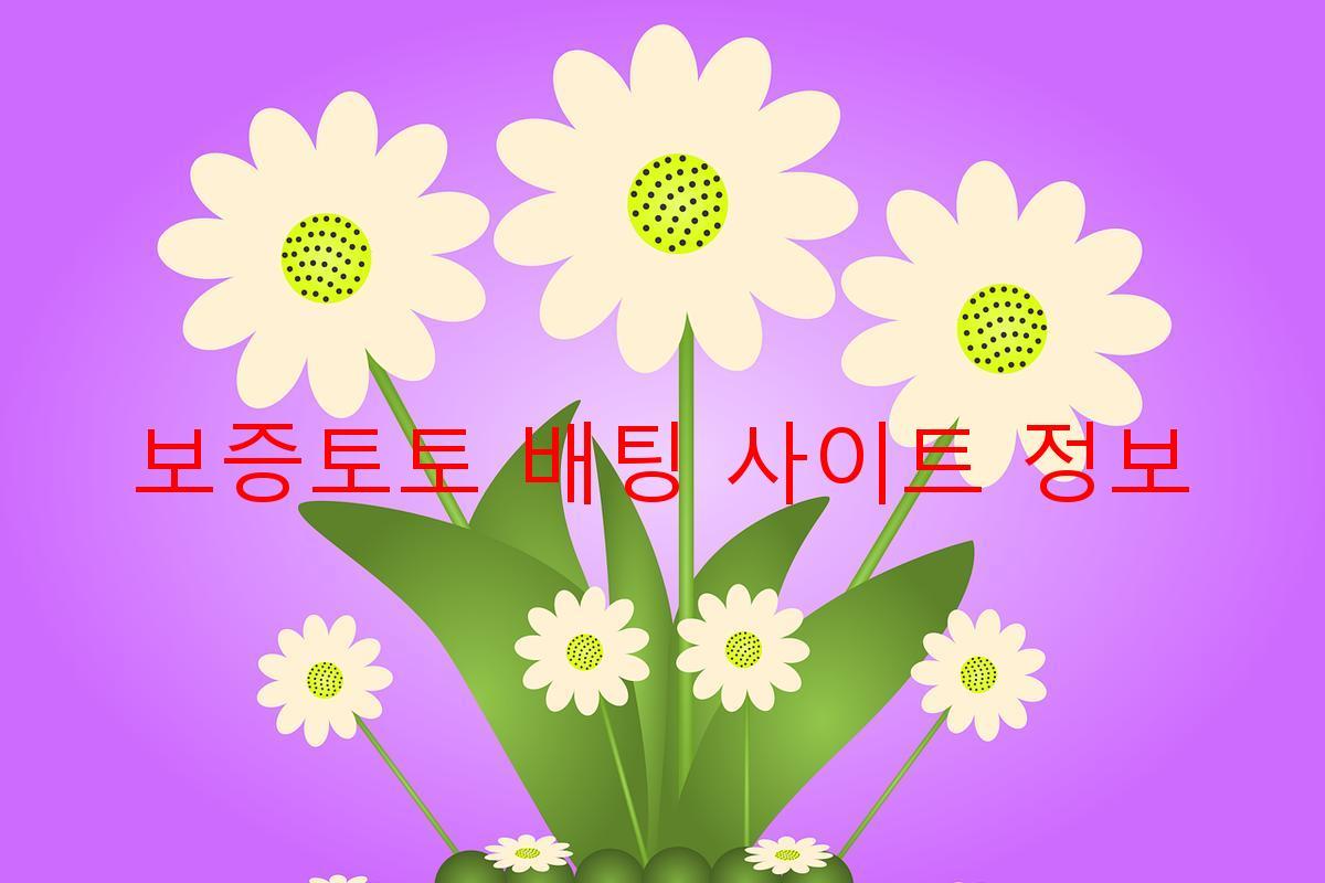 보증토토 배팅 사이트 정보