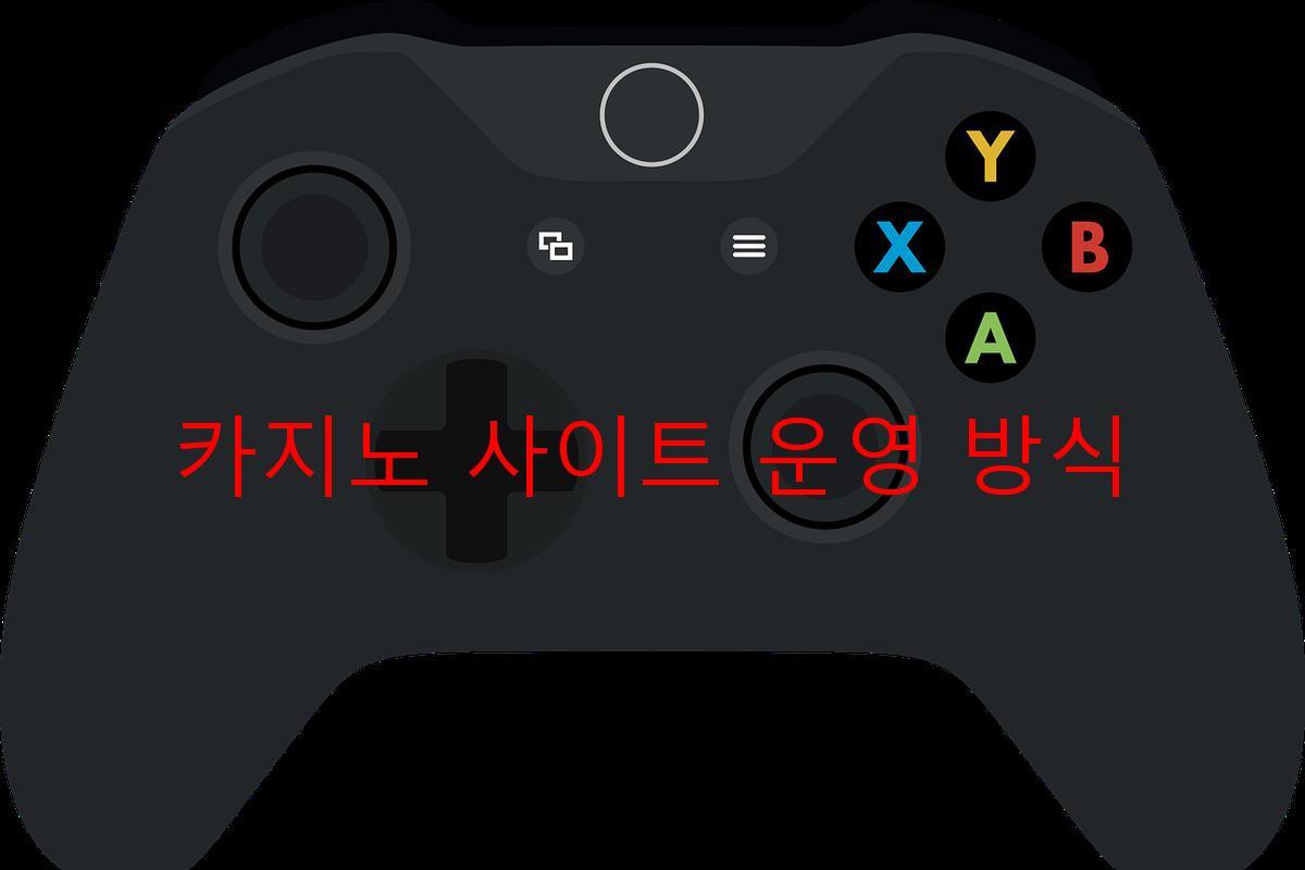 카지노 사이트 운영 방식