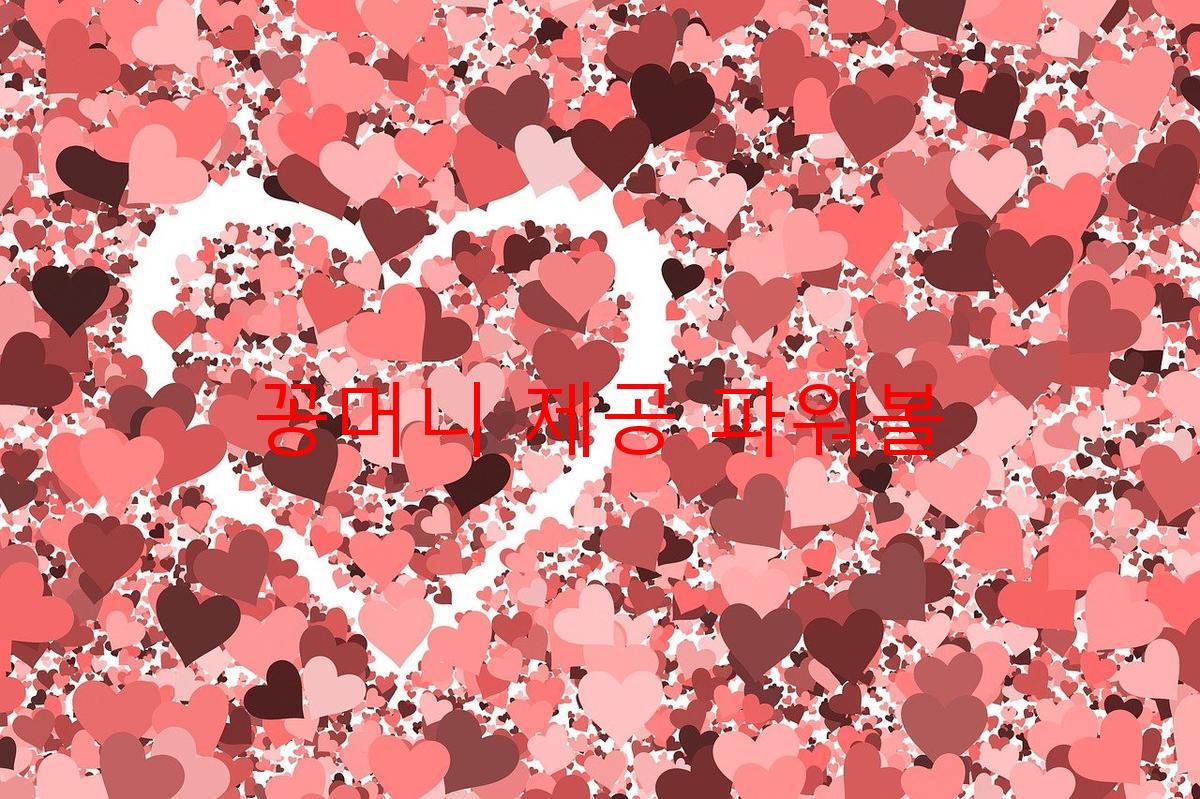 꽁머니 제공 파워볼