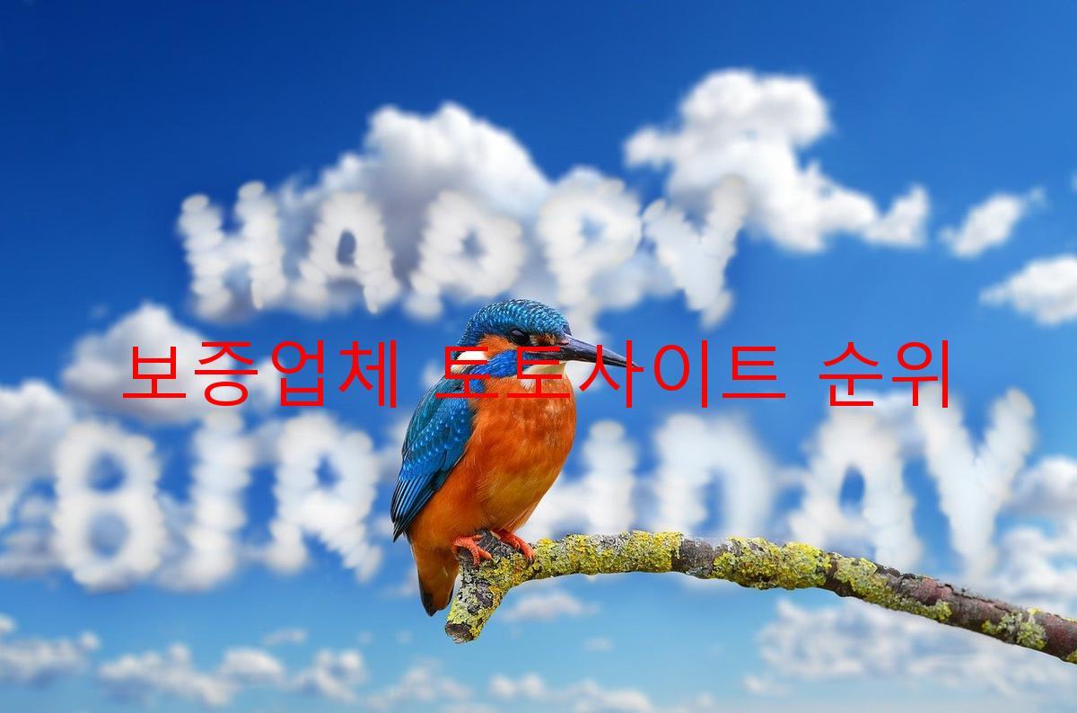 보증업체 토토사이트 순위