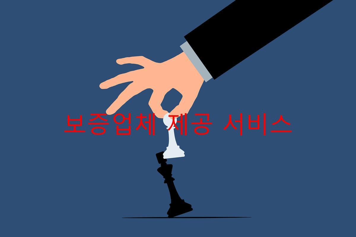 보증업체 제공 서비스