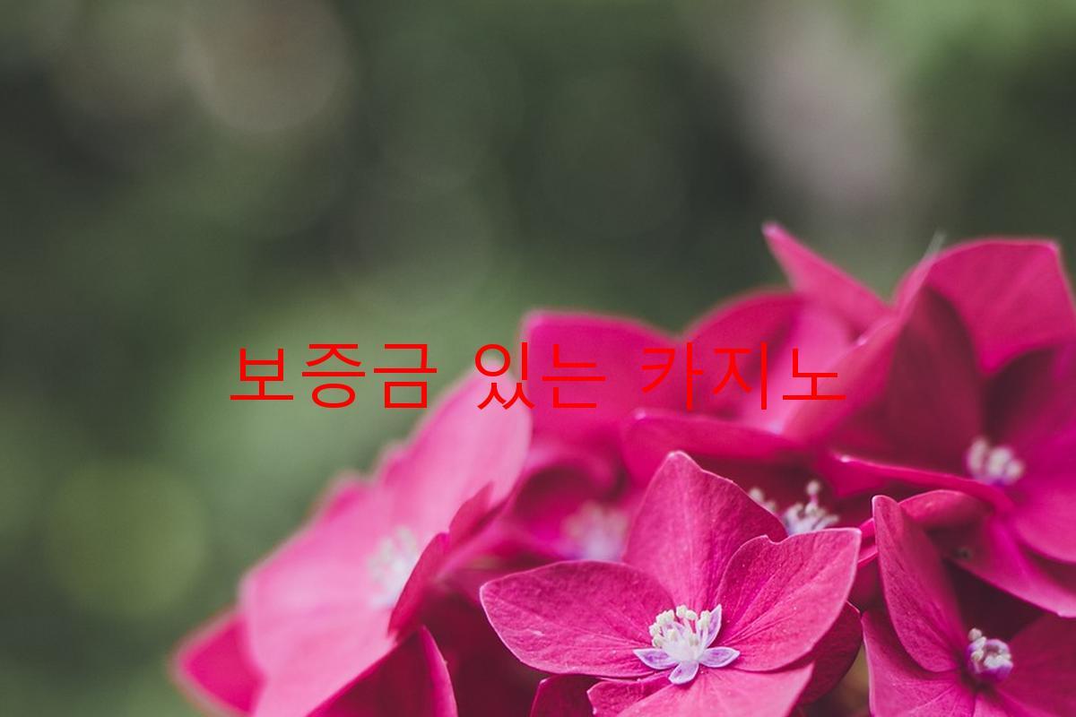 보증금 있는 카지노