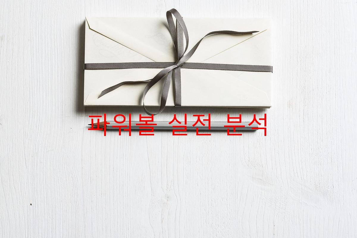 파워볼 실전 분석