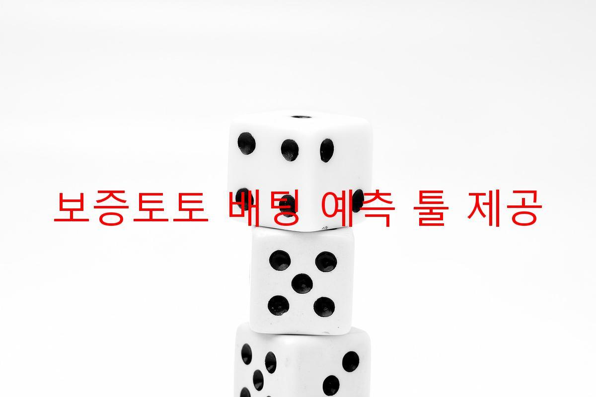 보증토토 배팅 예측 툴 제공