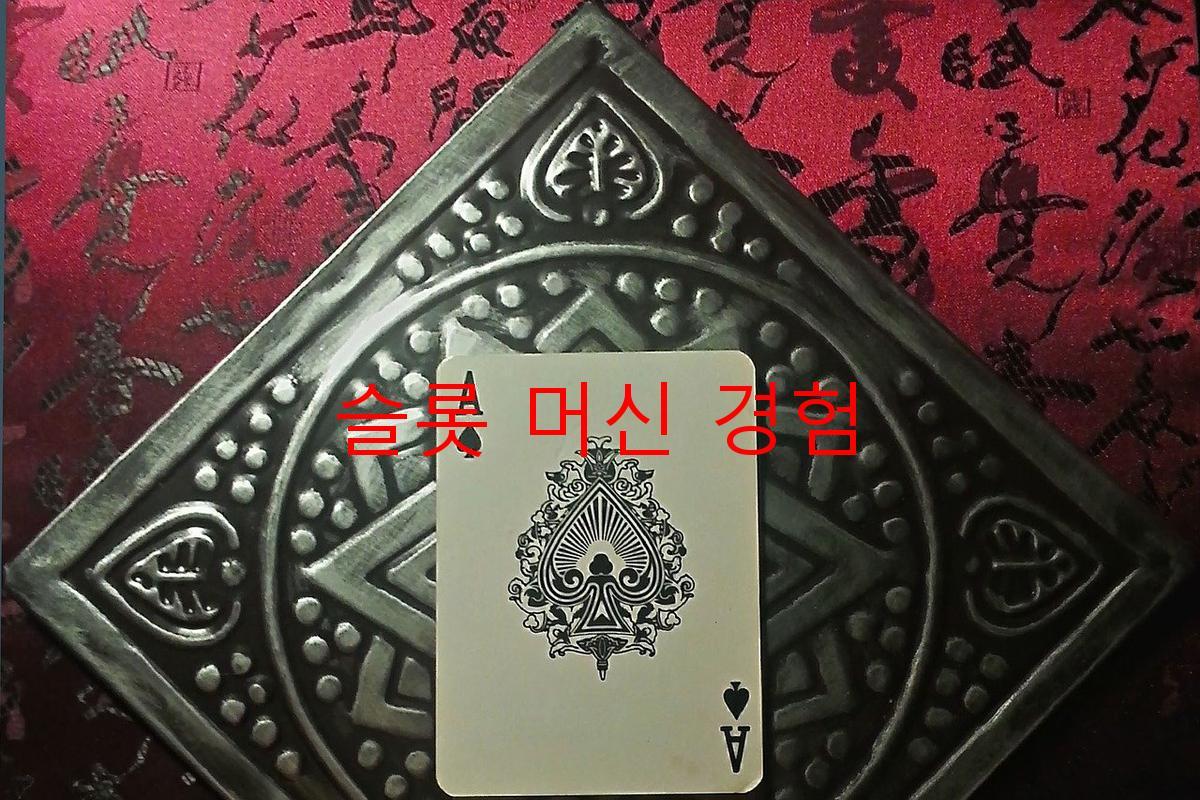 슬롯 머신 경험