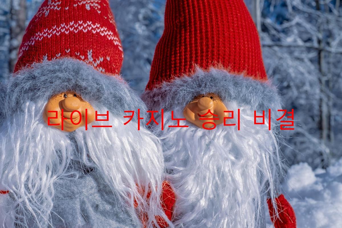 라이브 카지노 승리 비결