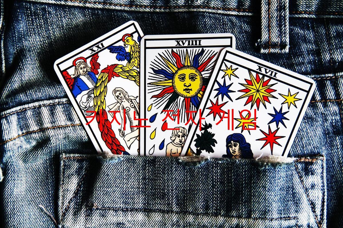 카지노 전자 게임