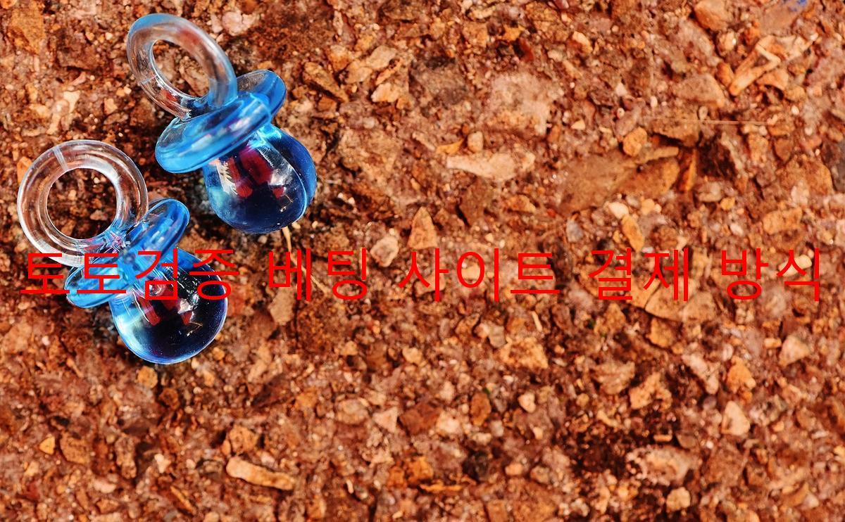 토토검증 베팅 사이트 결제 방식