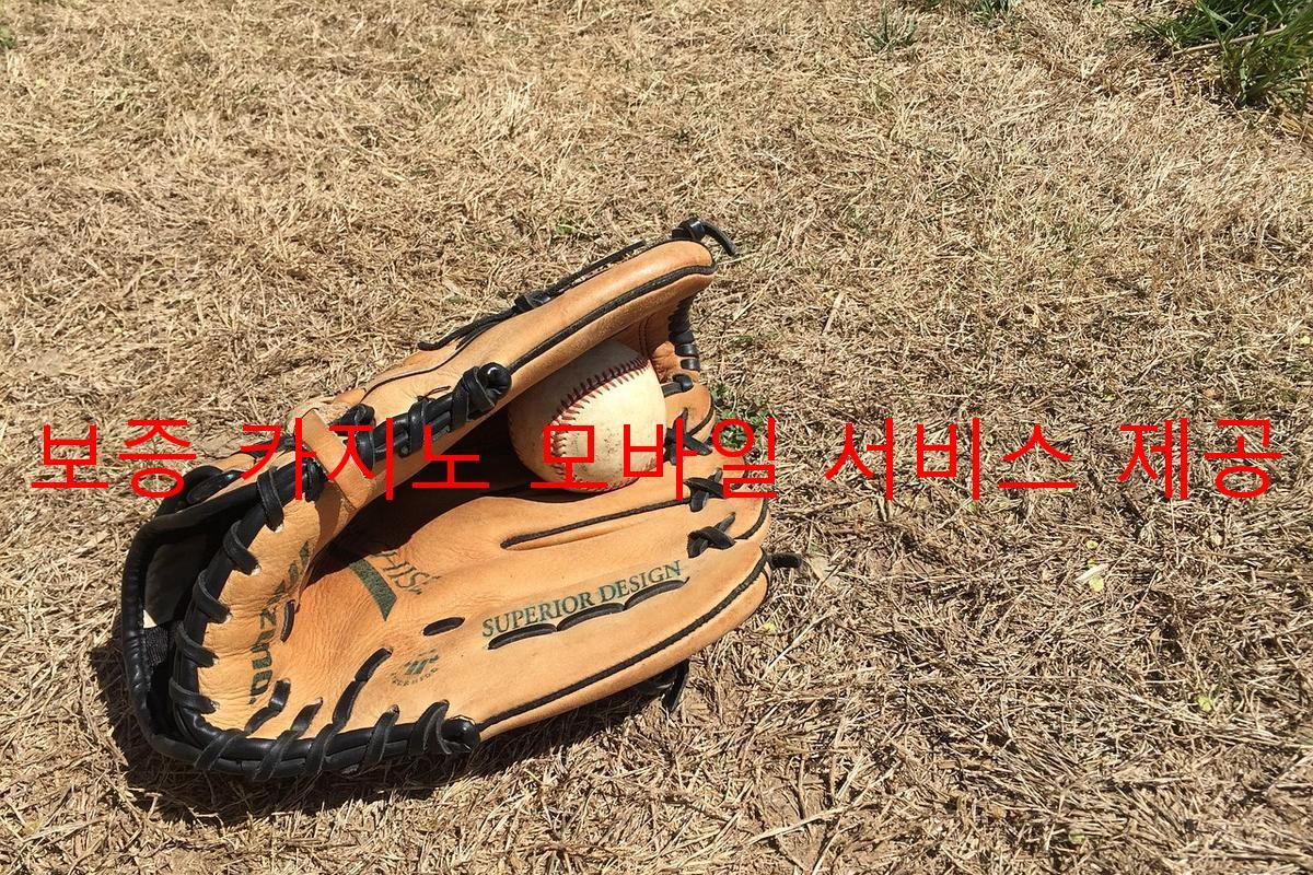 보증 카지노 모바일 서비스 제공