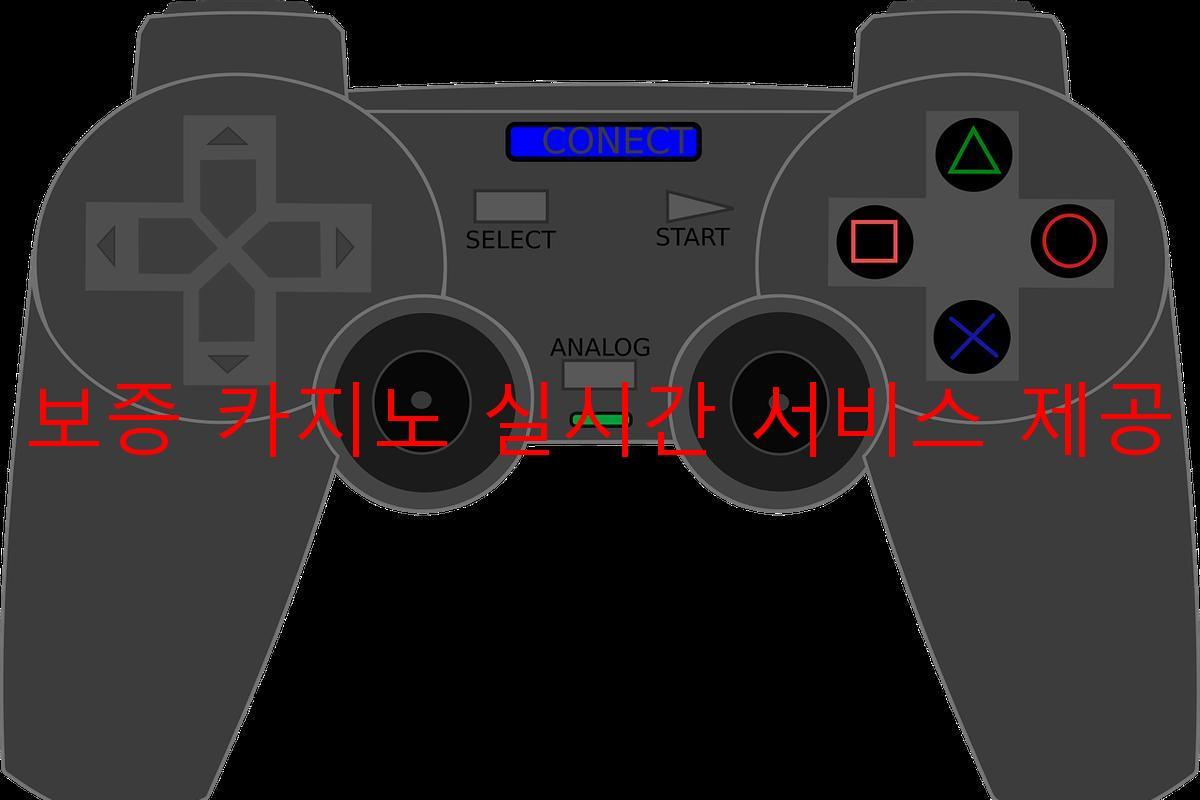 보증 카지노 실시간 서비스 제공