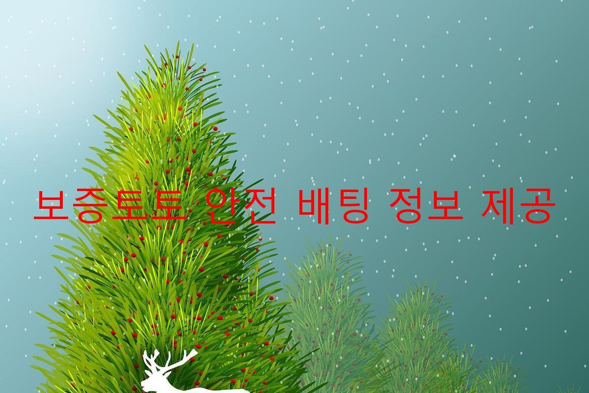 보증토토 안전 배팅 정보 제공