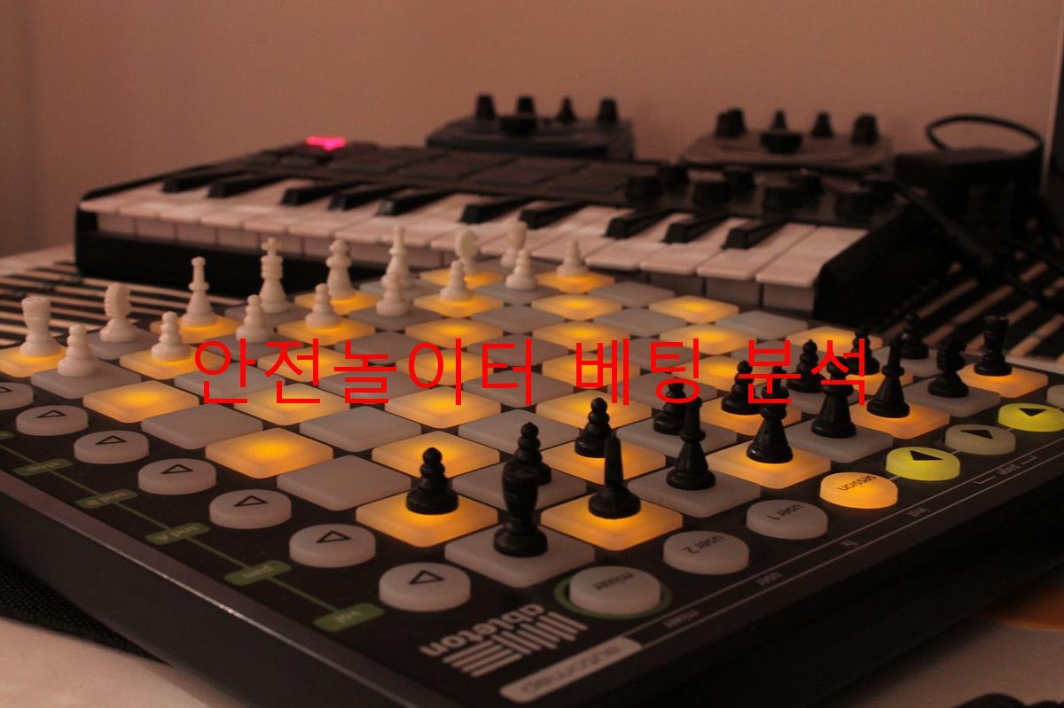 안전놀이터 베팅 분석