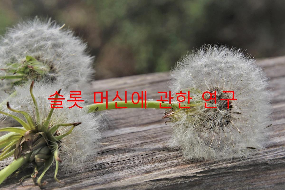 슬롯 머신에 관한 연구