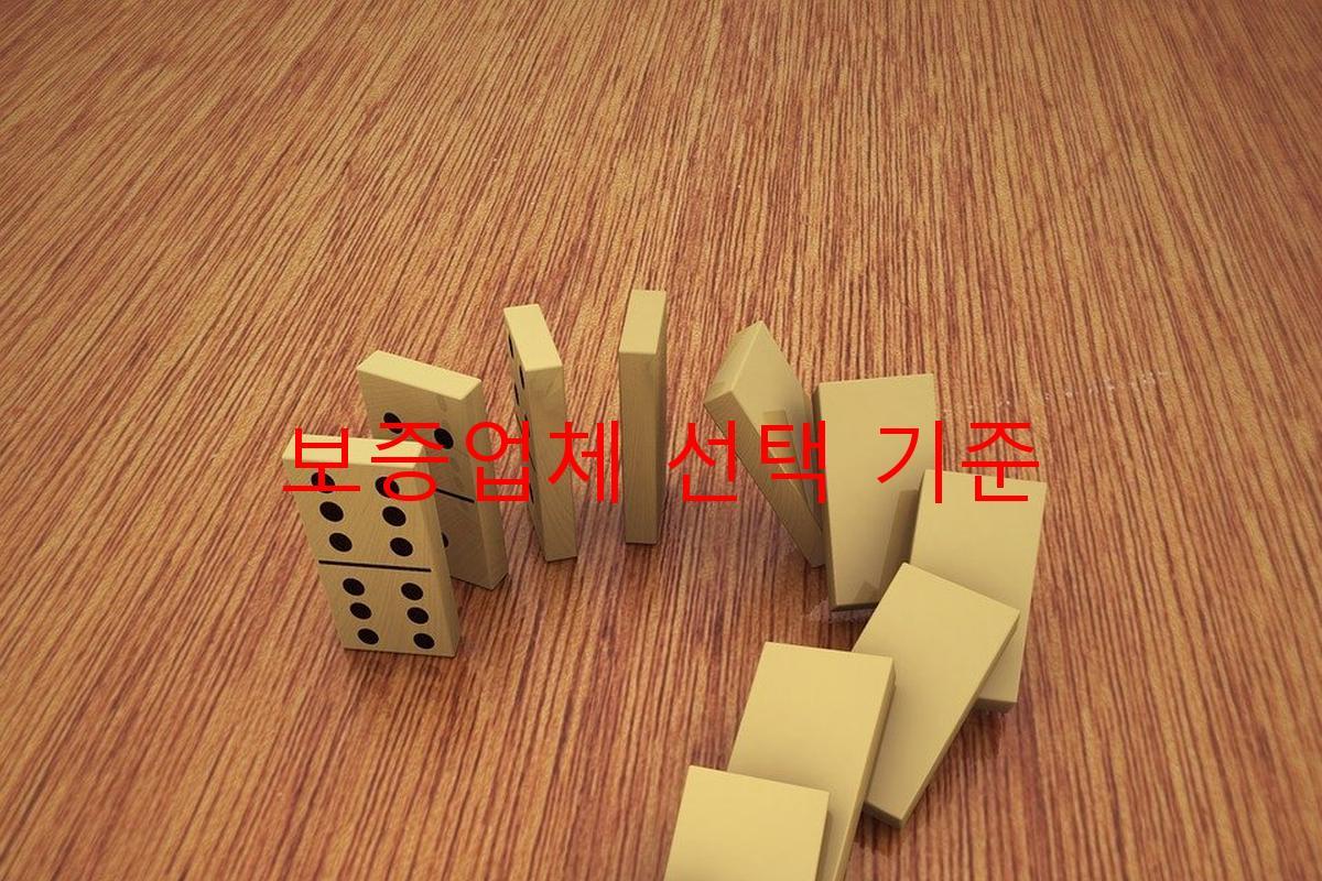 보증업체 선택 기준